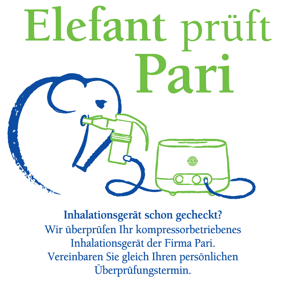 Werbegrafik mit Elefanten-Logo und aktueller Monats-Aktion